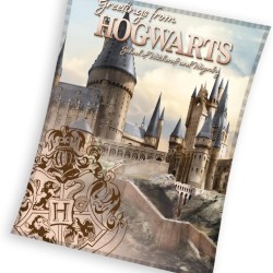 Κουβέρτα Harry Potter Hogwarts 130/160